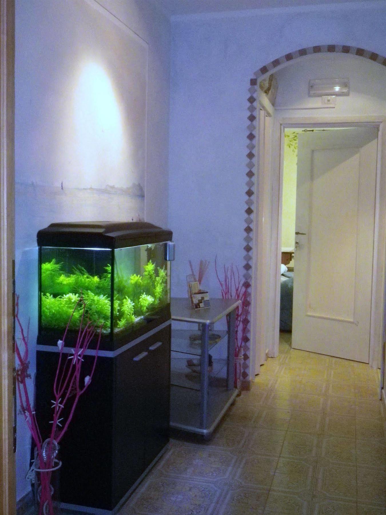 Elisart Guest House Alghero Exterior foto